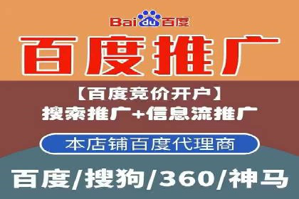 百度SEO推广策略案例：一家公司的成功转型之路
